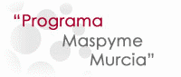 Programa Maspyme(Este enlace abre en ventana nueva)