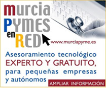 Programa Murcia Pymes en Red