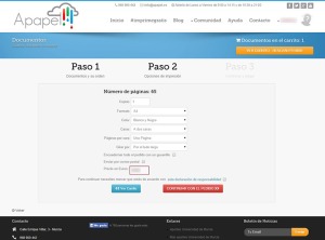 Realizando un pedido en la web de Apapel