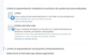 Segmentación personalizada en Twitter Ads