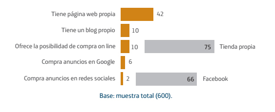 Principales acciones que realizan las micro empresas en Internet