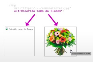 Atributo alt de una imagen