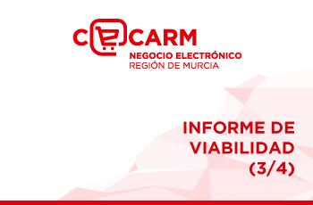 Informe de viabilidad 3/4