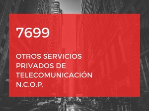 Otros servicios privados de telecomunicación N.C.O.P.