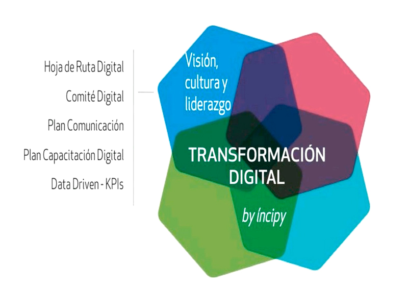 Visión, cultura y liderazgo