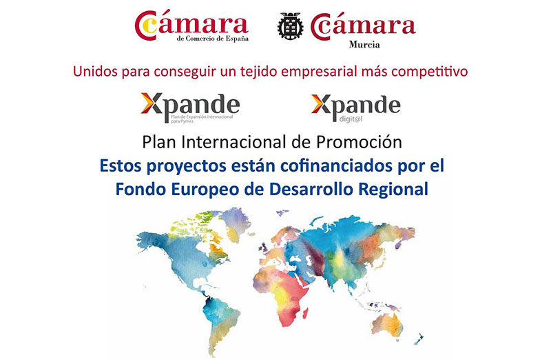 Xpande Digital, programa de las Cmaras de Comercio para la internacionalizacin