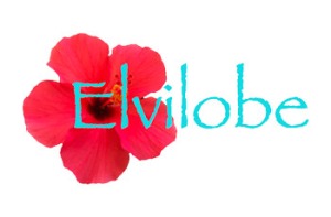 Logo Elvilobe